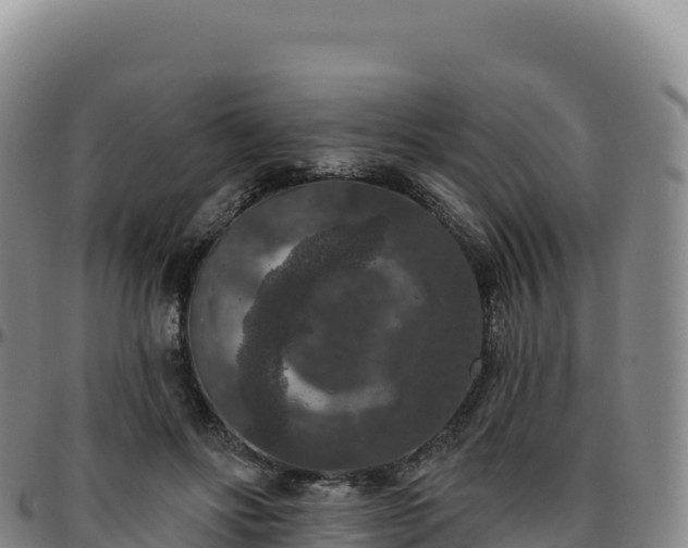 X0000096490502200801311621