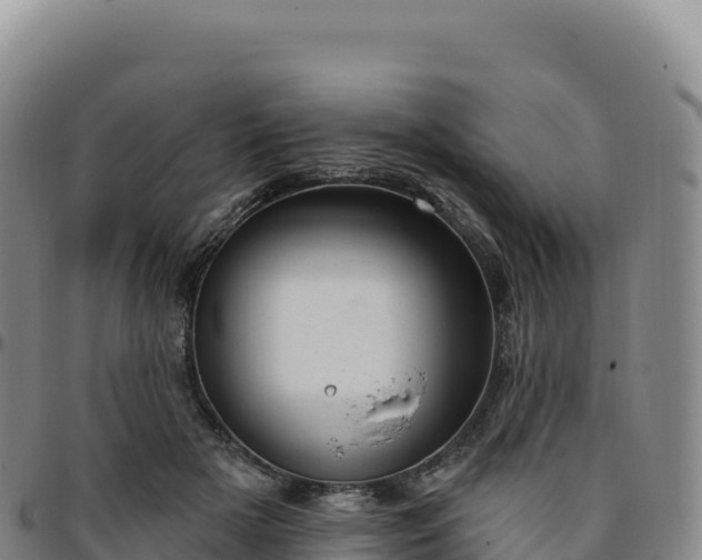 X0000096490505200801311621