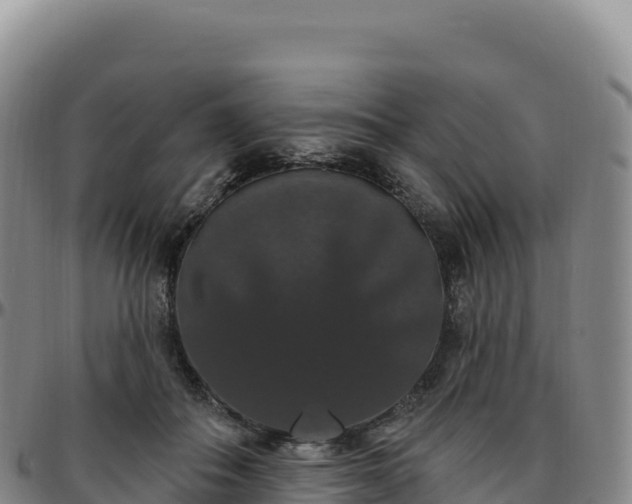 X0000096490506200801311621