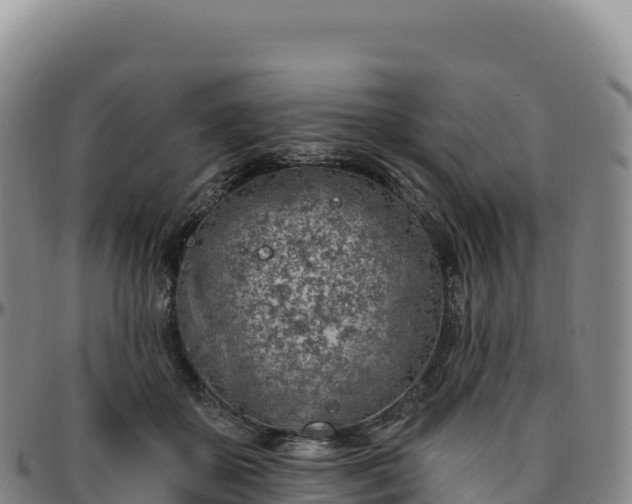 X0000096490507200801311621