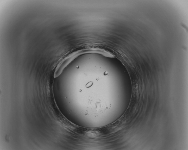 X0000096490508200801311621