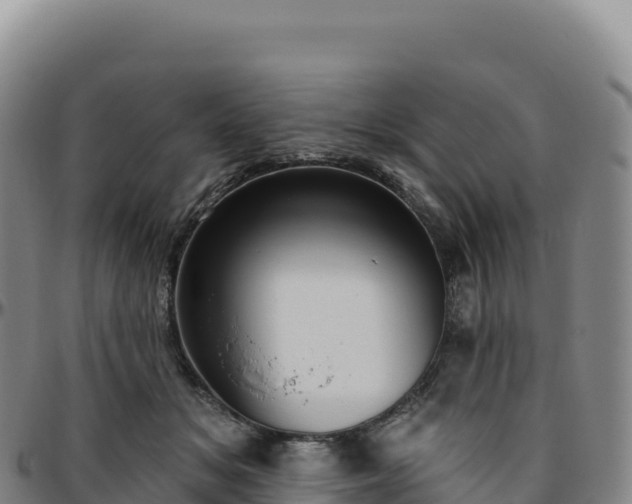 X0000096490509200801311621