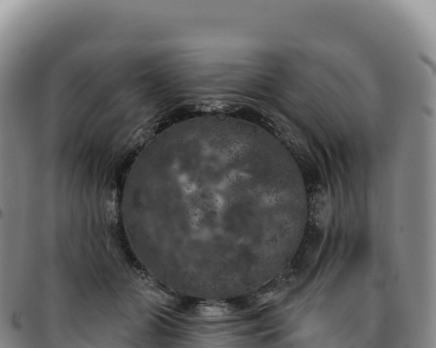 X0000096490510200801311621