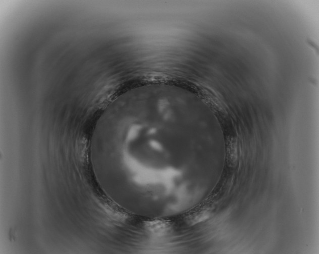 X0000096490511200801311621