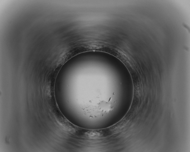 X0000096490512200801311621