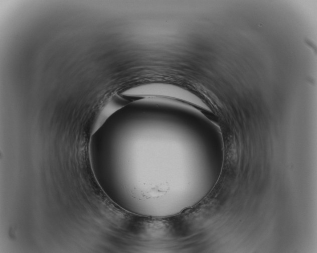 X0000096490513200801311621