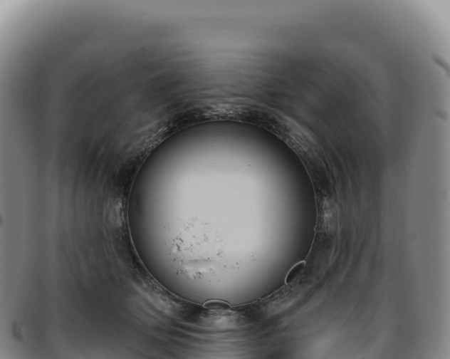 X0000096490514200801311621