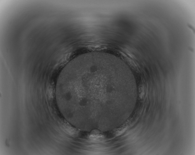 X0000096490515200801311621