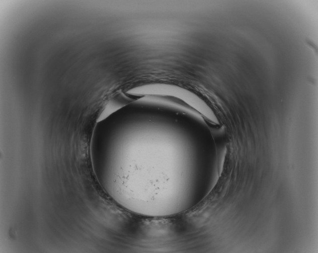 X0000096490517200801311621