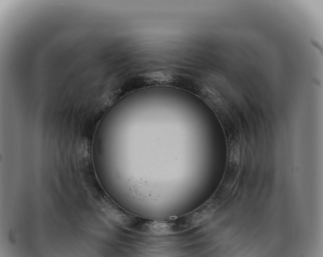 X0000096490518200801311621