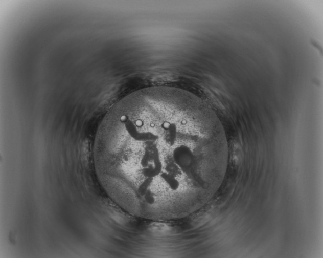 X0000096490519200801311621