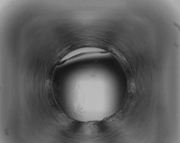 X0000096490521200801311621