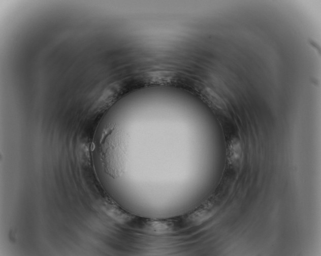 X0000096490522200801311621