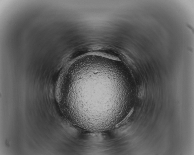 X0000096490524200801311621