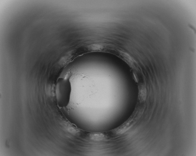 X0000096490525200801311621