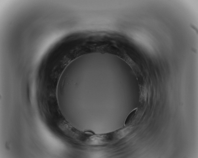 X0000096490526200801311621