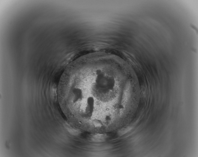 X0000096490527200801311621