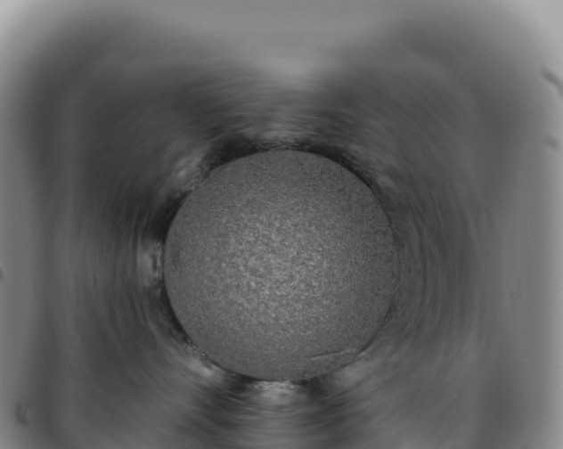 X0000096490528200801311621