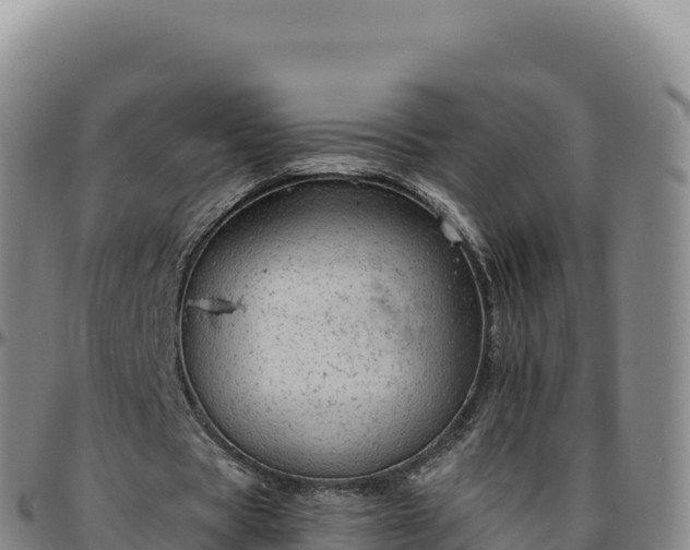 X0000096490529200801311620