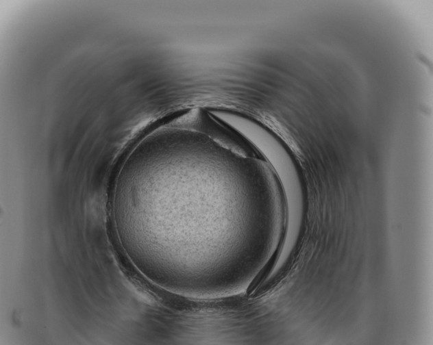 X0000096490530200801311620