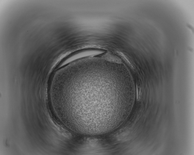 X0000096490531200801311620