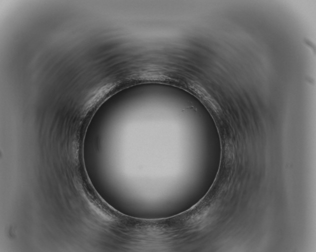 X0000096490533200801311620