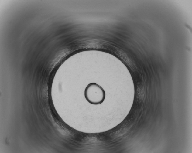 X0000096490534200801311620