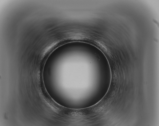 X0000096490535200801311620