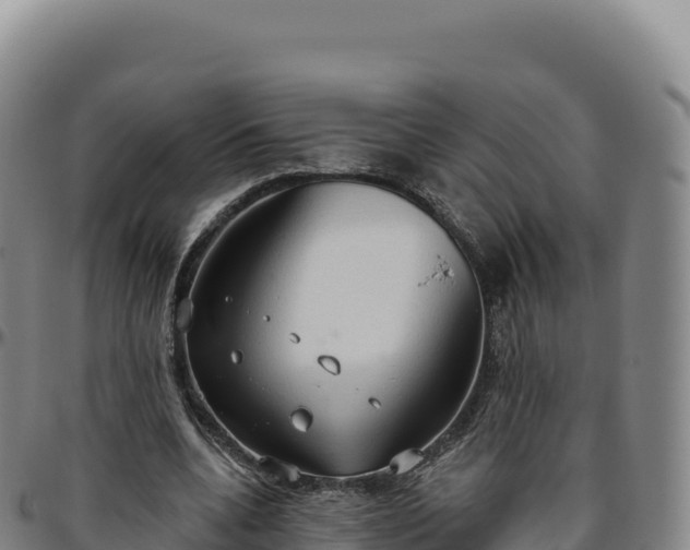 X0000096490536200801311620