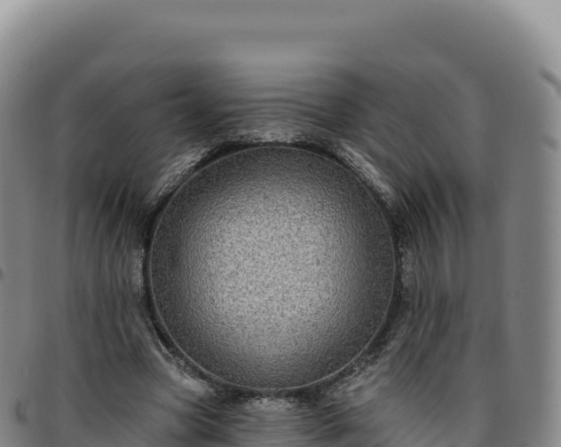 X0000096490537200801311620