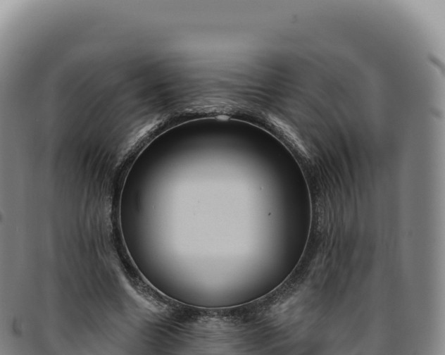 X0000096490538200801311620