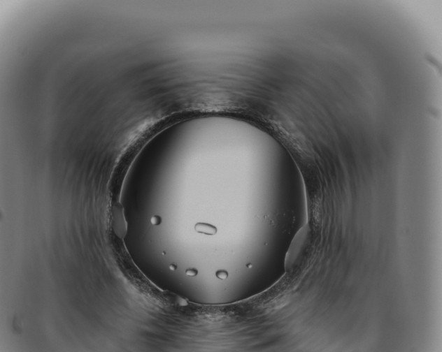 X0000096490540200801311620