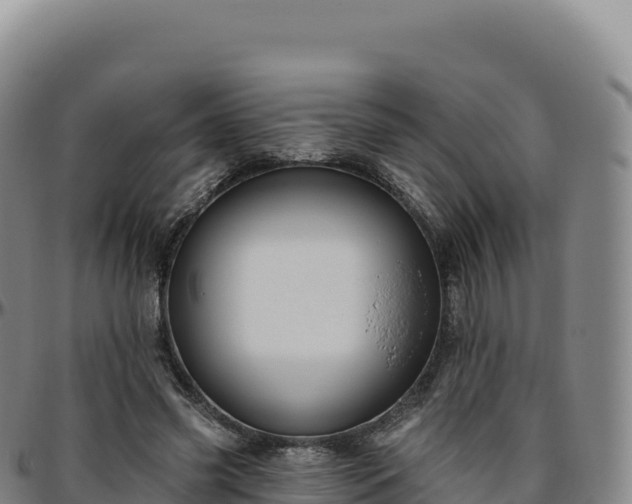 X0000096490541200801311620