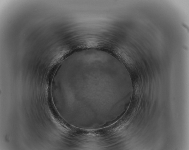 X0000096490542200801311620