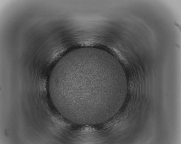 X0000096490543200801311620