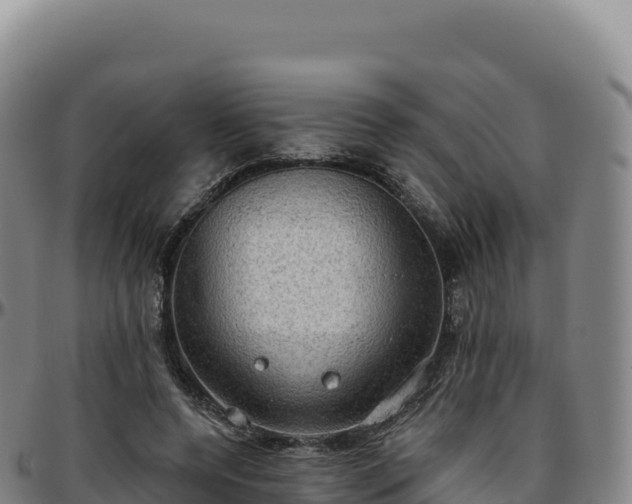 X0000096490544200801311620