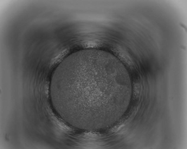 X0000096490545200801311620