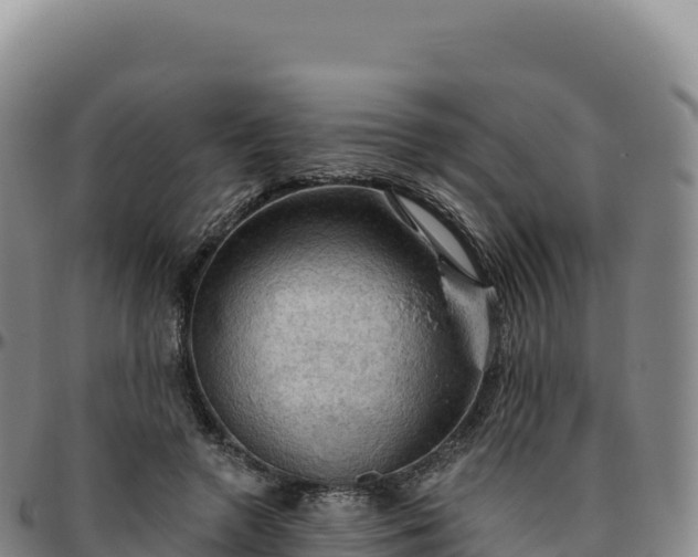 X0000096490546200801311620