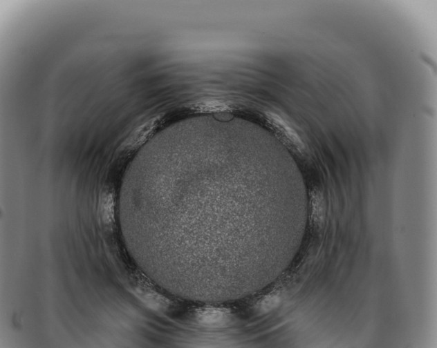 X0000096490549200801311621