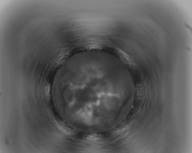 X0000096490550200801311621