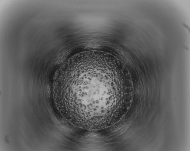 X0000096490551200801311621