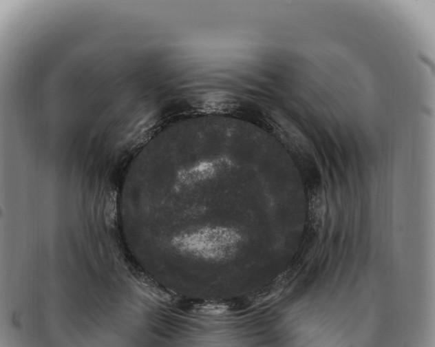 X0000096490554200801311621