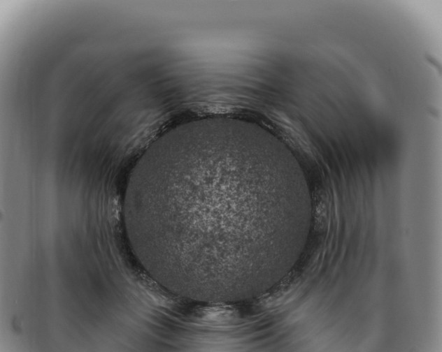 X0000096490555200801311621