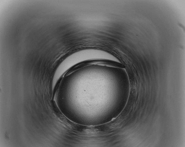 X0000096490556200801311621