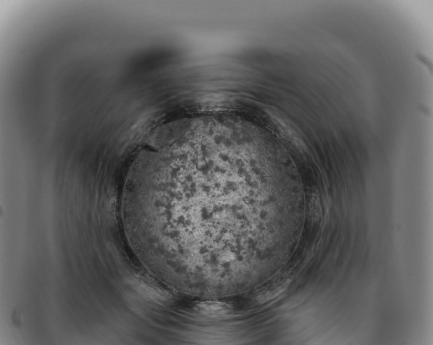 X0000096490557200801311621