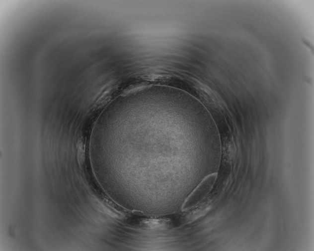 X0000096490558200801311621