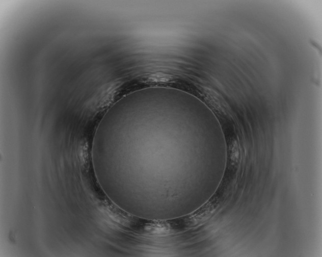 X0000096490559200801311621