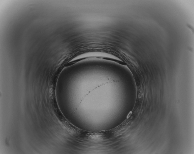 X0000096490560200801311621