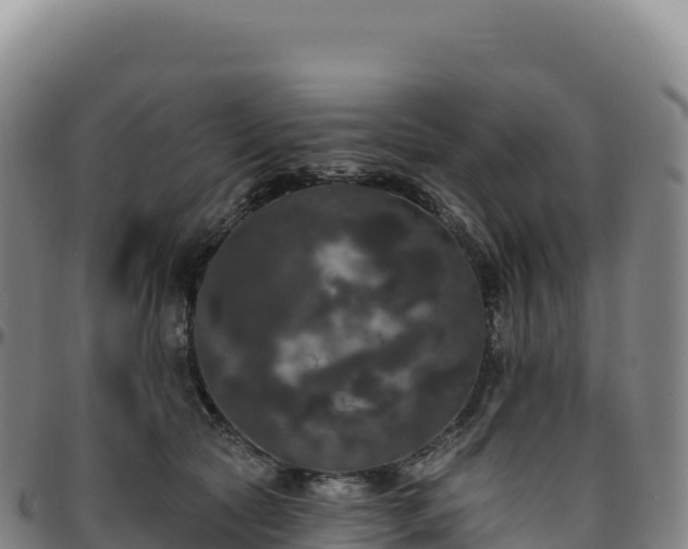 X0000096490561200801311621