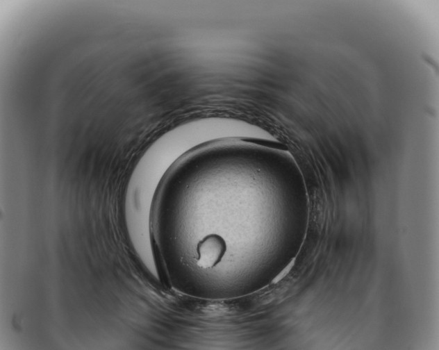 X0000096490562200801311621